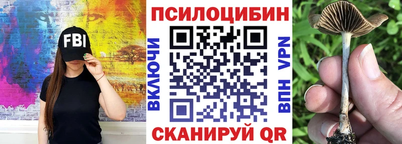 Псилоцибиновые грибы прущие грибы  Альметьевск 